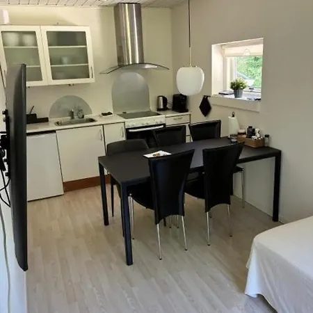 Hyggelig Og Funktionel Appartement *